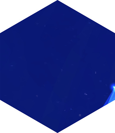 Asset 6