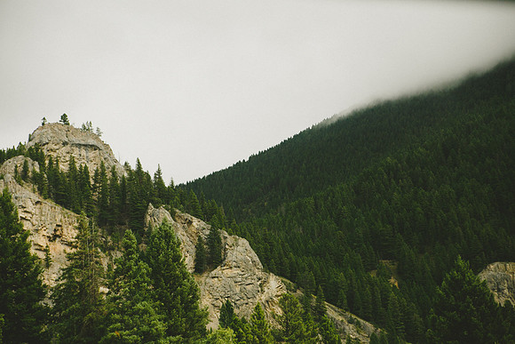 MT-8