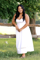 SS-10