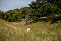 BR-2