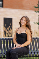 LW-31