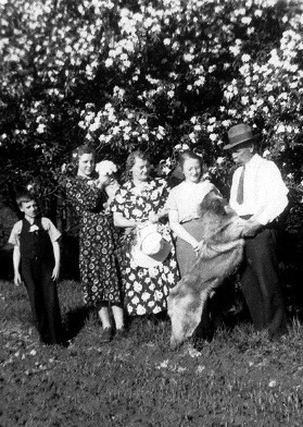 Grandma's family with dogs