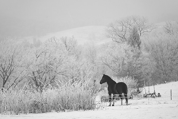IMG_2428