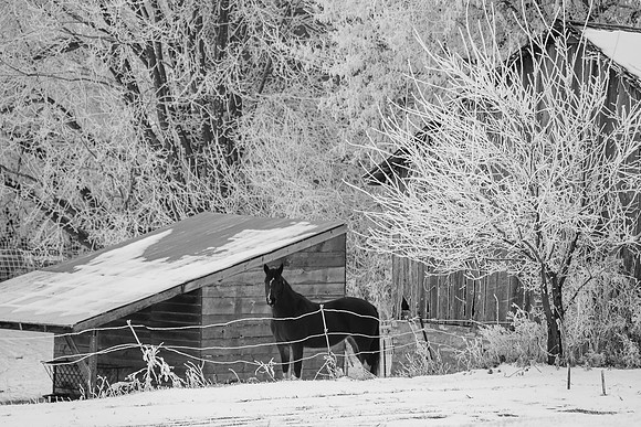 IMG_2447