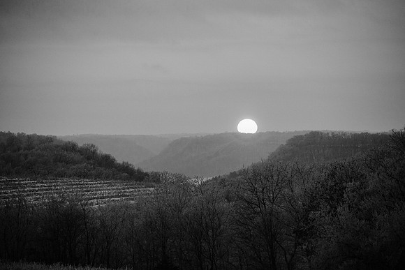 IMG_2351