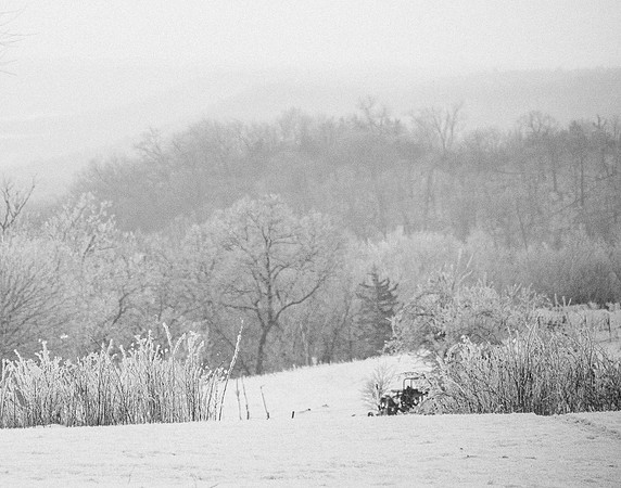 IMG_2360