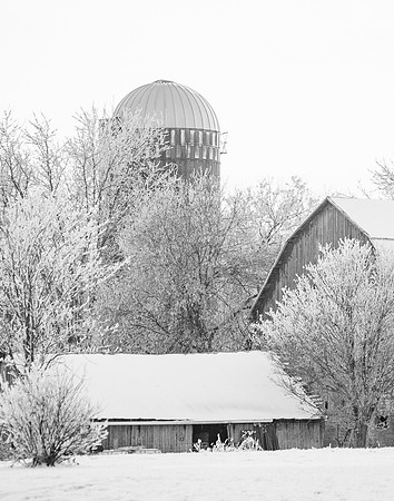 IMG_2367-3