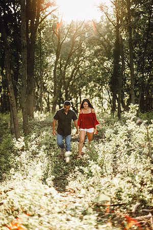KC-316