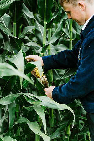 CW-246