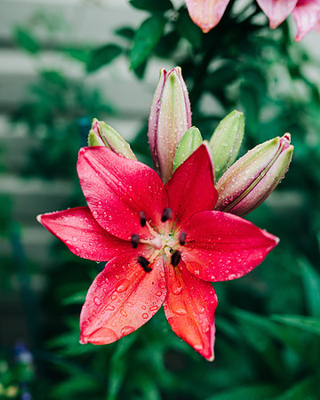 IMG_0544