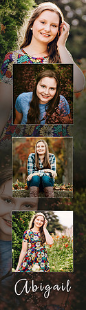 Abi Collage3