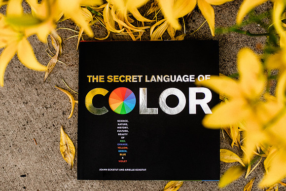 _MG_6382