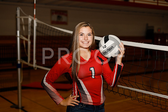 AHS_VB-3