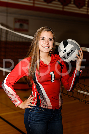 AHS_VB-4