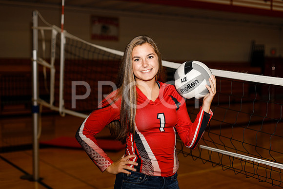 AHS_VB-2