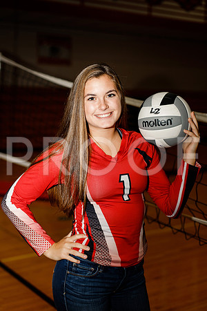 AHS_VB-1