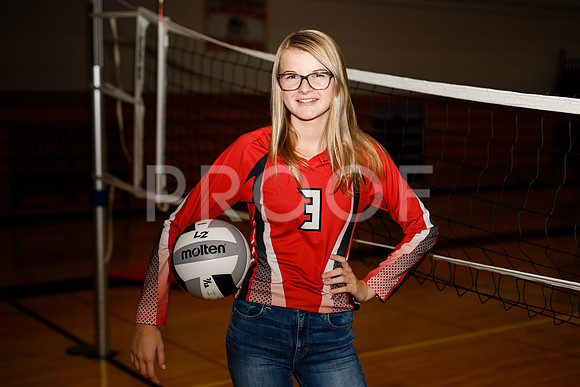 AHS_VB-6
