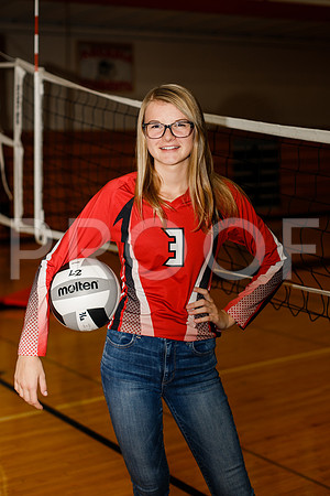 AHS_VB-7