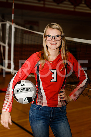 AHS_VB-8