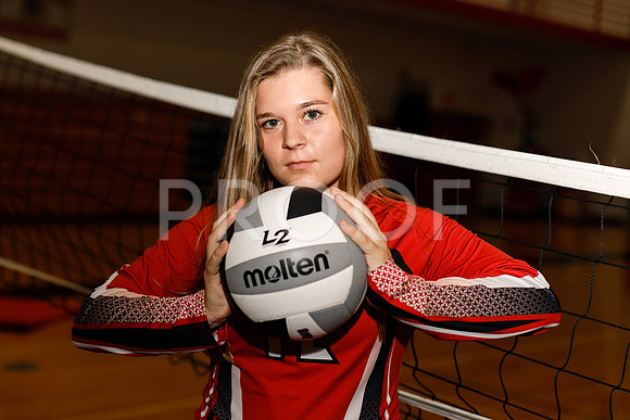 AHS_VB-11