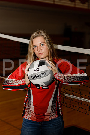 AHS_VB-15