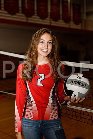 AHS_VB-17