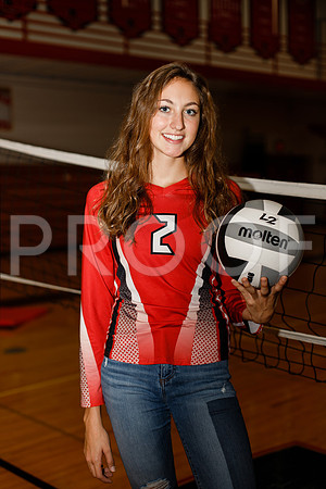 AHS_VB-18