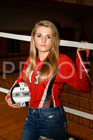 AHS_VB-24