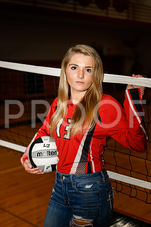 AHS_VB-25