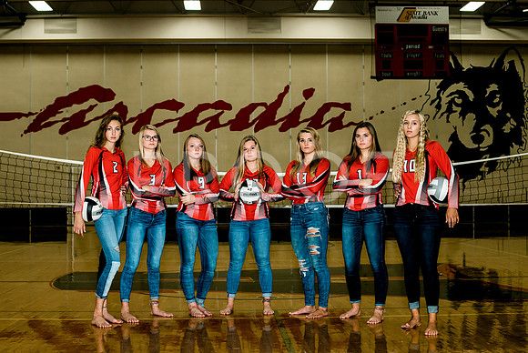 AHS_VB-36