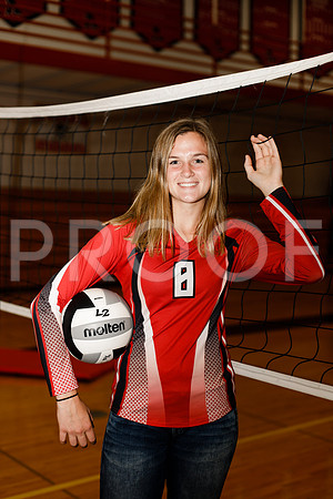 AHS_VB-40