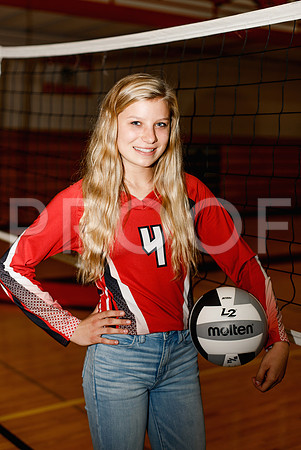 AHS_VB-42