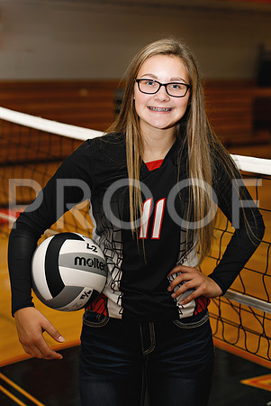 AHS_VB-60