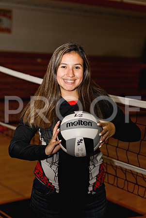 AHS_VB-61