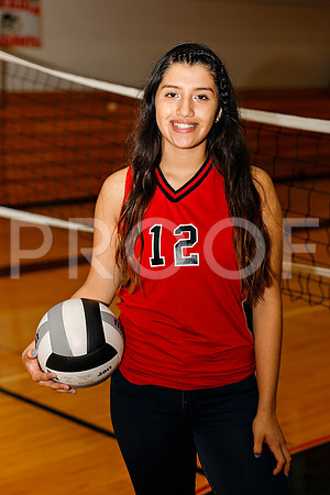 AHS_VB-77