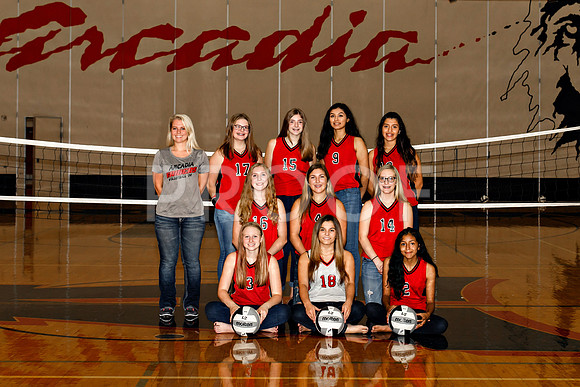 AHS_VB-79