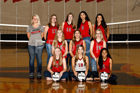 AHS_VB-80