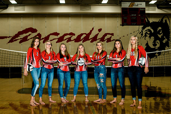 AHS_VB-36