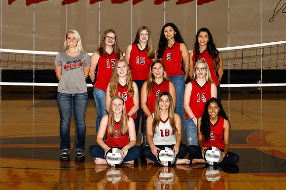 AHS_VB-80