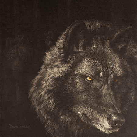 wolf print, saturated50percent