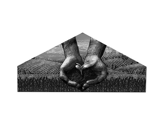Seeds of greatness, mural concept1