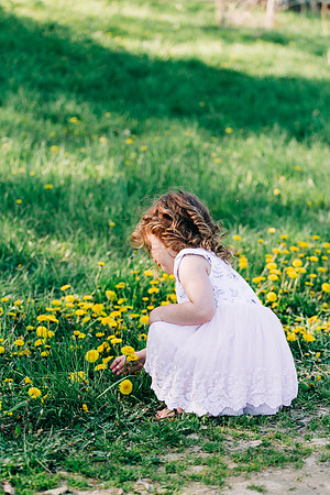 L26