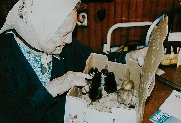 Erna with chicks 2007