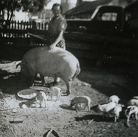 Grandma & Pig bought from Bud '63