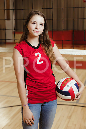 AMS_VB-8