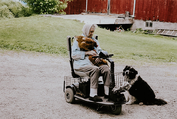 Erna & friendly chickens, Tucker 2011