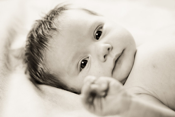 Cyrtmus-43