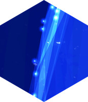 Asset 11