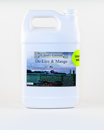 DSE-29